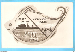 Delcampe - Noord-Oostpolder Groeten In Fantasie Vis RY57064 - Sonstige & Ohne Zuordnung