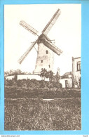 Nijmegen De Witte Molen Foto/repro ML3389 - Nijmegen