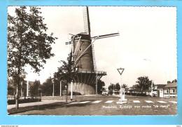 Maassluis Zuiddijk Met Molen De Hoop  ML2530 - Maassluis