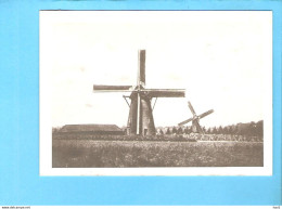 Lochem Molen Foto/repro ML3161 - Lochem