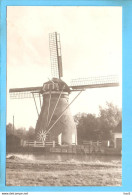 Leiden Molen Repro ML2461 - Leiden