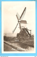 Leiden Molen ML2355 - Leiden