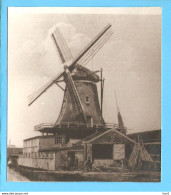 Leiden Molen Foto/repro ML2811 - Leiden