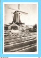 Leiden Molen De Hooiberg Foto/repro ML2814 - Leiden