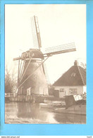 Leiden De Stads Molen Repro ML2442 - Leiden