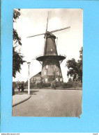 Leiden Molen  Foto/repro ML2517 - Leiden