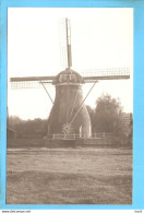 Leiden Molen Repro ML2462 - Leiden