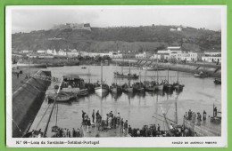 Setúbal - Lota Da Sardinha - Portugal (Fotográfico) - Setúbal