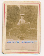 Photographie XIXe Portrait D'une Femme Bourgeoise Et Sa Bicyclette Vélo Cycliste 1900 - Old (before 1900)