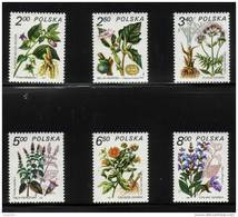 POLAND 1980 MEDICINAL PLANTS FOR HEALING NHM Flowers Herbs - Médecine
