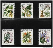 POLAND 1980 MEDICINAL PLANTS FOR HEALING NHM Flowers Herbs Health Pharmacy Medicine - Pharmacie
