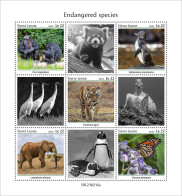Sierra Leone 2023 Endangered Species. Penguins.  (216a) OFFICIAL ISSUE - Pingouins & Manchots