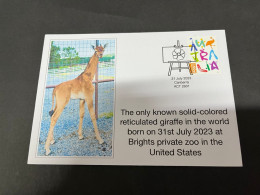 25-8-2023 (3 S 11) US Brighs Private Zoo Report The Birth Of Solid-colored Reticulated Giraffe On 31-7-2023 - Giraffe
