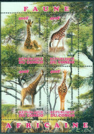 Wild Animals, Giraffe, Jirafa, Savanna, Ss, MNH - Giraffen
