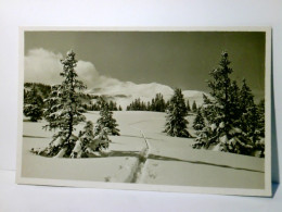Schweiz. Flumersberg. Skitour Prodkamm. Alte Ansichtskarte / Postkarte S/w, Gel. 1935. Winterpanorama, Spuren - Berg