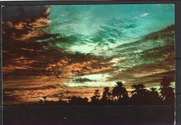 ARABIE SAOUDITE. Carte Postale Ayant Circulé En 1977. Sunset In Saudi Arabia. - Arabia Saudita