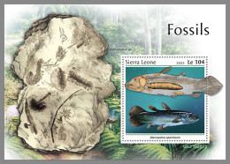 SIERRA LEONE 2023 MNH Fossils Fossilien Fossiles S/S - OFFICIAL ISSUE - DHQ2334 - Fossiles