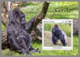 SIERRA LEONE 2023 MNH Gorillas Gorilles S/S - IMPERFORATED - DHQ2334 - Gorilla's