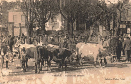 FRANCE - Pernay - Marché Aux Bestiaux - Carte Postale Ancienne - Chinon