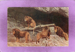 STELLINGEN Carl Hagenbeck's Tierpark Offne Löwenschlucht   Parc Animalier  Canyon Des Lions Zoo - Stellingen