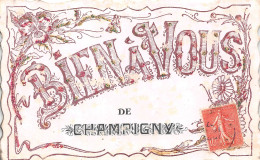 94-CHAMPIGNY- BIEN A VOUS DE CHAMPIGNY- CARTE A PAILLETTES - Champigny Sur Marne