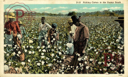 PICKING COTTON IN THE SUNNY SOUTH Black Americana   Afro Americana Coleccionblack - Black Americana
