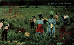 GATHERING WATER MELONS  Black Americana   Afro Americana Coleccionblack - Negro Americana