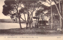 FRANCE - 06 - Antibes - Juan-les-Pins - Les Pins Au Bord De La Mer - Carte Postale Ancienne - Juan-les-Pins