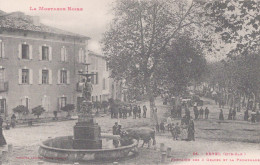 31 / REVEL / FONTAINE DES 3 GRACES ET LA PROMENADE - Revel