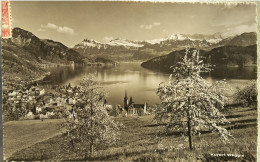 Weggis Am Vierwaldstättersee I.Frühling..1954 - Wald