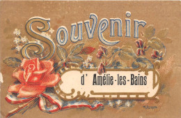 66-AMELIE-LES-BAINS- SOUVENIR D'AMELIE-LES-BAINS - Amélie-les-Bains-Palalda