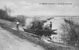 BOUAYE (Loire-Atlantique) - Le Lac De Grand-Lieu - Pêche à La Nasse, Barque, Chien De Chasse - Bouaye