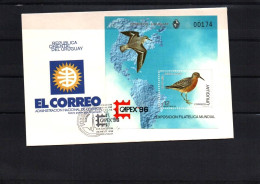 1996 Calidris Canutus Moonbird Capex96  Stamp Exposition FDC Cover Toronto Tower Postmark - Mouettes