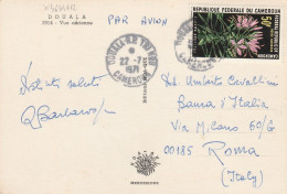 X4644 Cameroun - Douala - Vue Aerienne Aerial View Vista Aerea - Nice Stamps Timbres Francobolli / Viaggiata 1971 - Cameroun