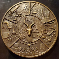Médaille De Table En Bronze - Congo Belge - Ruanda-Urundi Exposition Universelle & International Bruxelles 1958 - Autres & Non Classés