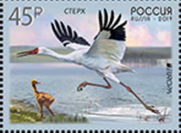 RUSIA 2019 /RUSSLAND /RUSSIA - EUROPA 2019 -" AVES - BIRDS - VÖGEL - OISEAUX"- GRULLA BLANCA DE SIBERIA - SERIE De 1 V. - 2019