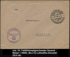 DEUTSCHE LUFTWAFFEN-DIENSTPOST 1933 - 31.8.1939 - GERMAN AIR FORCE POSTAL SERVICE 1933 - 31.AUG.1939 - SERVICE DE LA POS - Avions