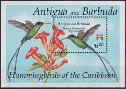 F-EX43940 ANTIGUA & BARBUDA MNH 1992 AVES HUMMINGBIRD BIRD OISEAUX VÖGEL.  - Canards