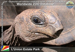 026 L'Union Estate Park, SC - Giant Tortoise (Aldabrachelys Gigantea) - Seychellen
