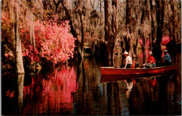 South Carolina Charleston Cypress Gardens  - Charleston