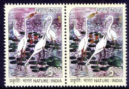 Crane, Water Birds, Paintings, India 2017 MNH Pair - Kranichvögel