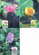 Formose (Taiwan) - Plantes Aquatiques CM 2047/2049 (année 1993) - Autres & Non Classés