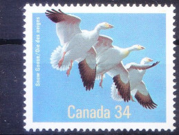 Snow Goose, Ducks, Water Birds, Canada 1986 MNH - Gänsevögel