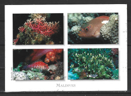 MALDIVES. Carte Postale Ayant Circulé. Fonds Marins Des Maldives. - Maldivas