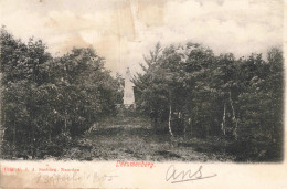 Naarden Leeuwenberg Monument ZW160 - Naarden