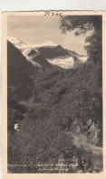 D3819) Wegpartie Zum Wasserfallboden Mit Bärenkopf - KAPRUNERTAL - KAPRUN Salzburg Alte S/W AK - Kaprun