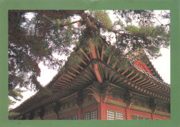 Roofs At CHANGGYONG Palace SEOUL - Korea (Zuid)