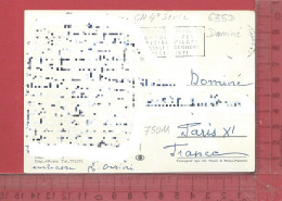 CARTE NOMINATIVE :  DOMINÉ  à  75011  Paris - Genealogy