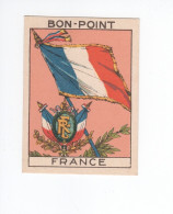 Chromo BON POINT Rare FRANCE  FLAG Drapeau TB 68x50 1936s Pub: Chocolat Pupier Didactique Au Dos 2 Scans - Otros & Sin Clasificación