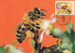 Luxembourg - Centenaire De La Fédération Des Unions D'apiculteurs Du Luxembourg CM 1099 (année 1986) - Maximumkaarten